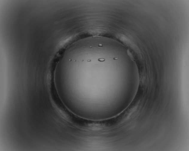 X0000088210448200705221746