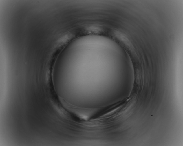 X0000088210451200705221747