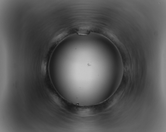 X0000088210454200705221747