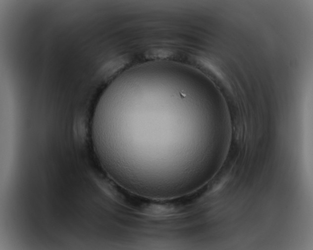 X0000088210455200705221747