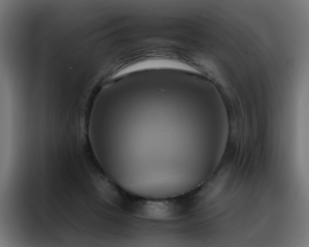 X0000088210457200705221747