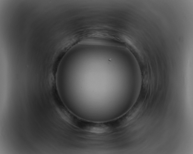 X0000088210459200705221747