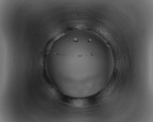 X0000088210461200705221747