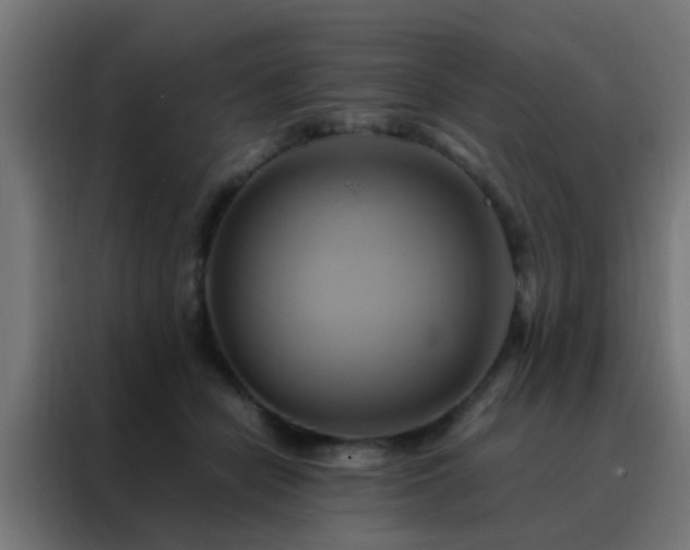 X0000088210462200705221747