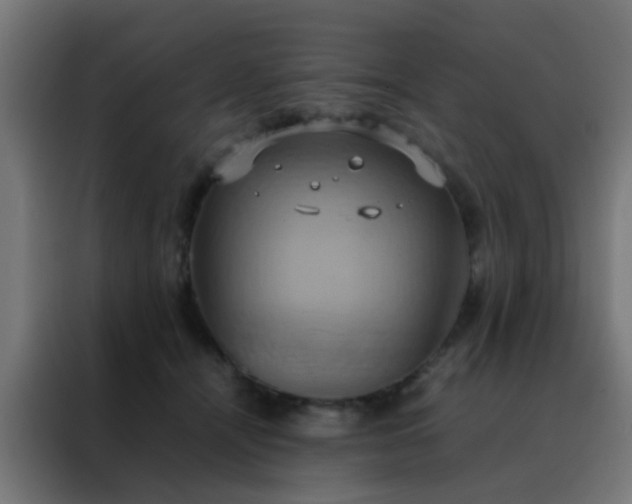 X0000088210464200705221747