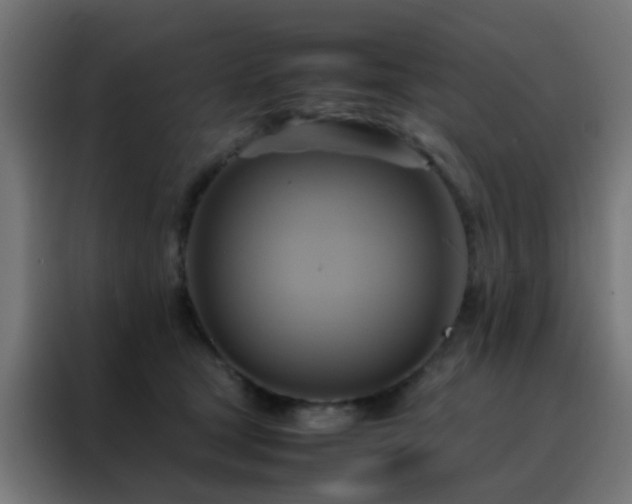 X0000088210465200705221747
