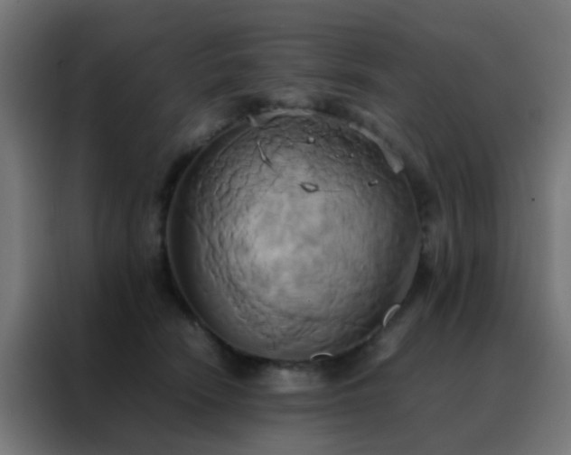 X0000088210466200705221747