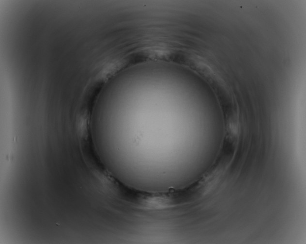X0000088210468200705221747