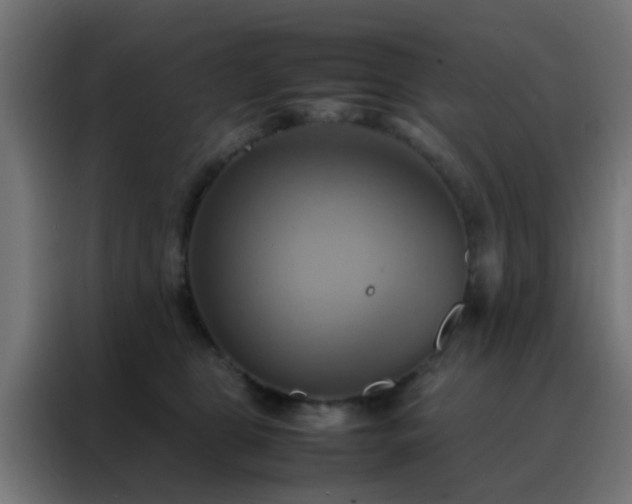 X0000088210469200705221747