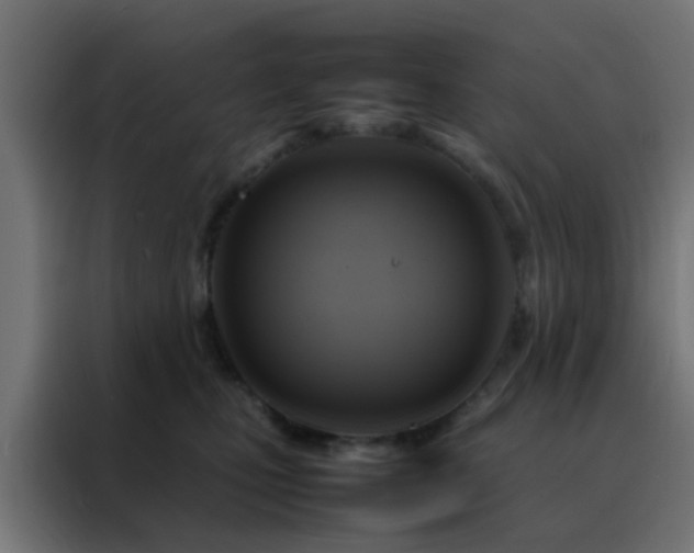 X0000088210471200705221747