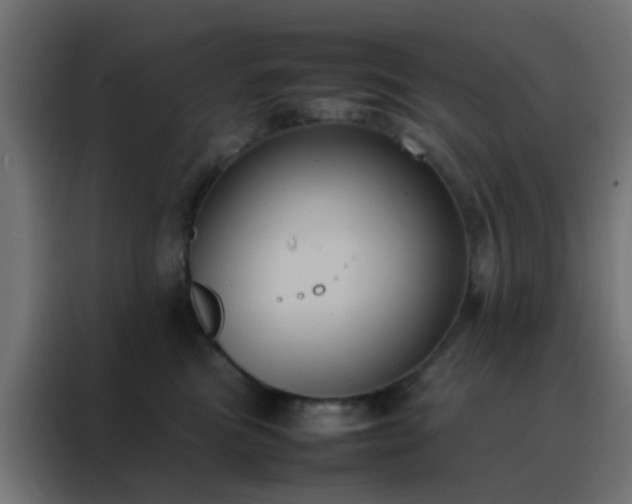X0000088210473200705221747