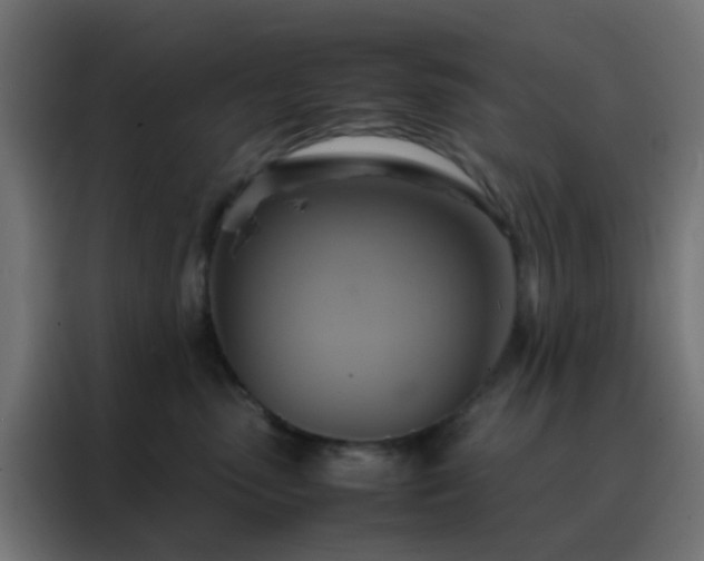 X0000088210475200705221747