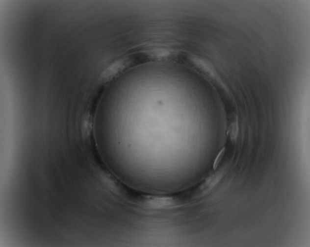 X0000088210476200705221747