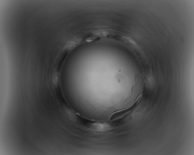 X0000088210477200705221747