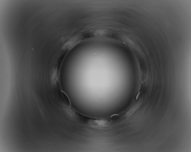 X0000088210478200705221747