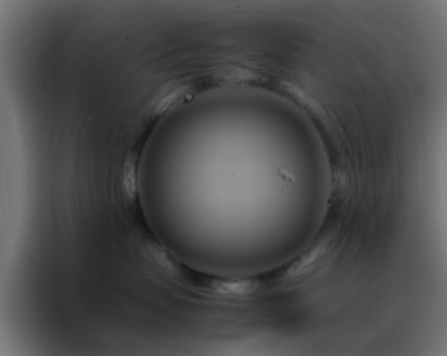 X0000088210479200705221747