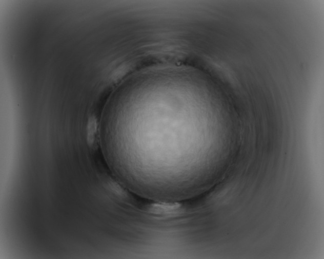 X0000088210480200705221747
