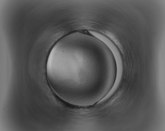 X0000088210481200705221746