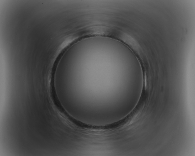 X0000088210483200705221746