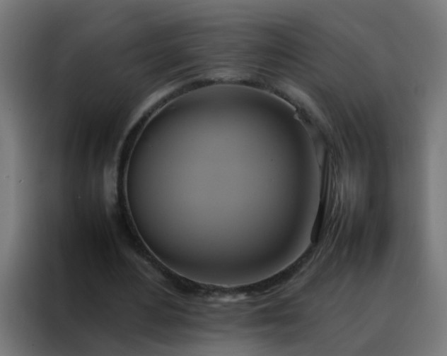 X0000088210484200705221746