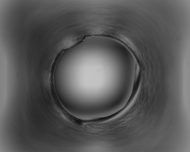 X0000088210485200705221746