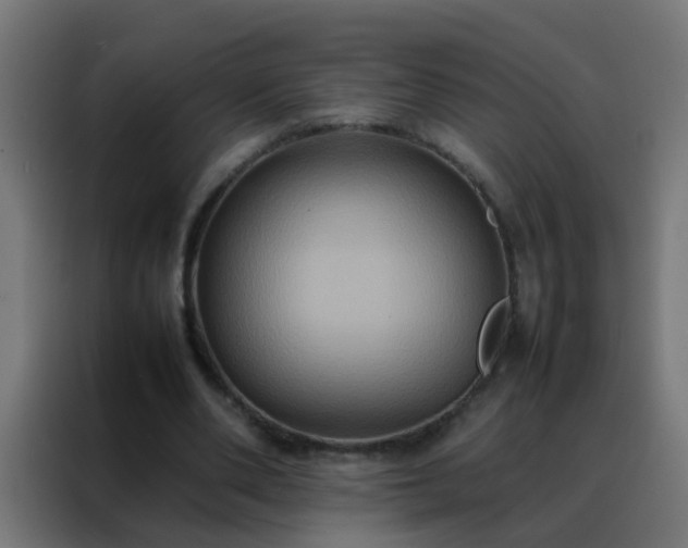 X0000088210486200705221746