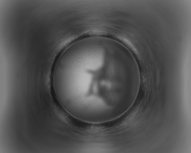 X0000088210487200705221746