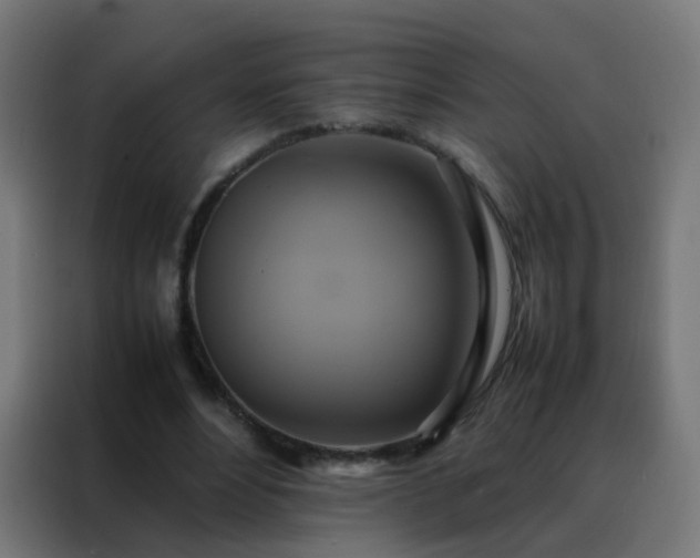 X0000088210488200705221746