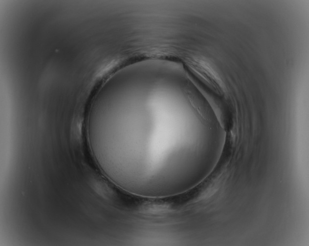 X0000088210491200705221746