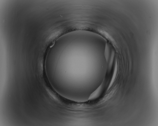X0000088210493200705221746