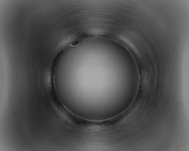 X0000088210494200705221746