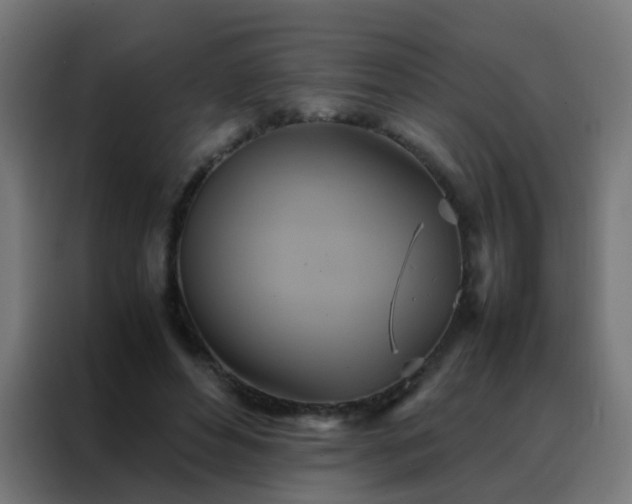 X0000088210496200705221746