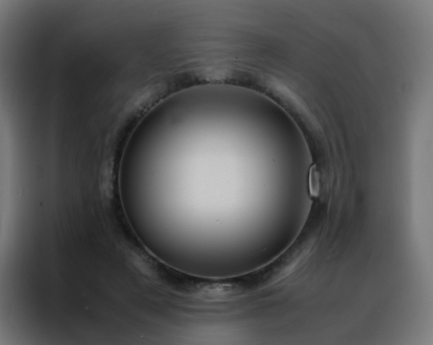 X0000088210497200705221746