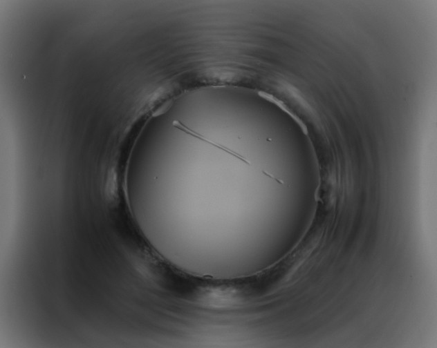 X0000088210500200705221746