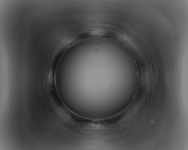 X0000088210502200705221746