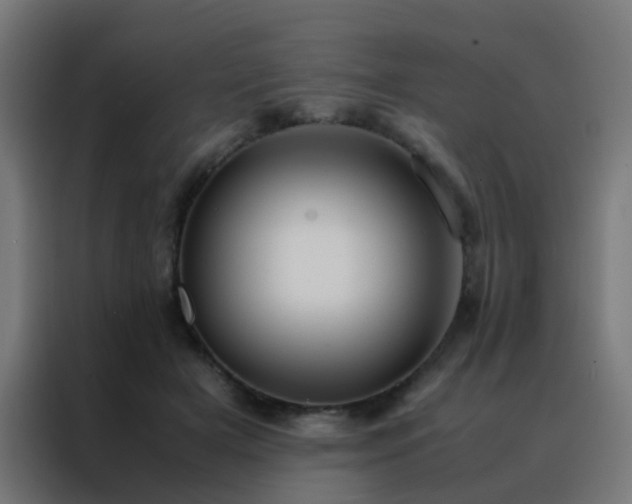 X0000088210505200705221746