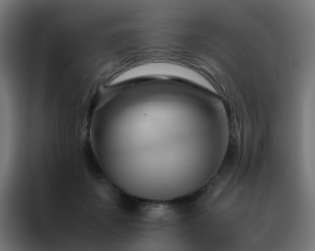 X0000088210507200705221746