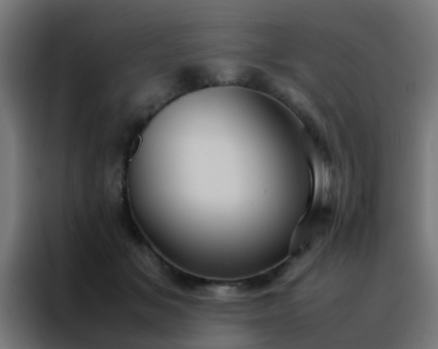 X0000088210509200705221746