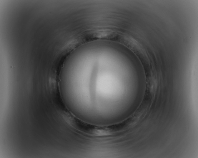 X0000088210510200705221746
