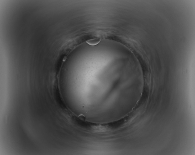 X0000088210511200705221746