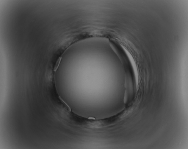 X0000088210513200705221746