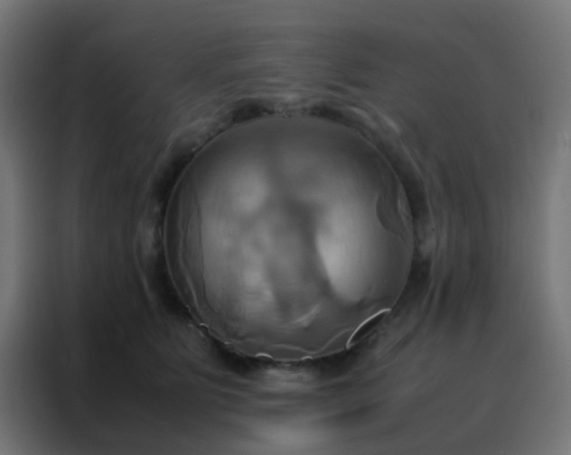 X0000088210515200705221746