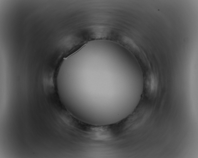 X0000088210516200705221746