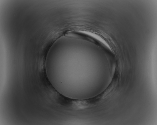 X0000088210517200705221746