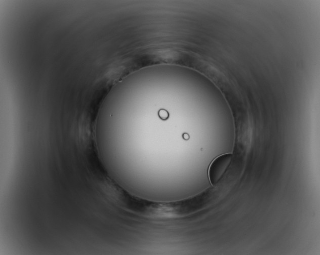 X0000088210518200705221746