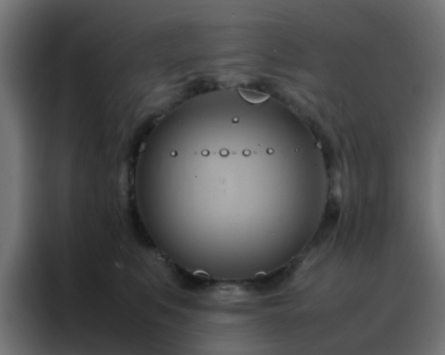 X0000088210519200705221746