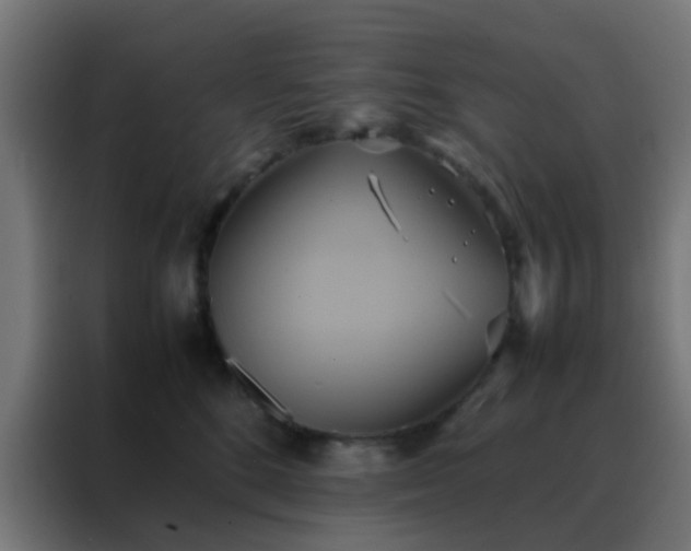 X0000088210520200705221746