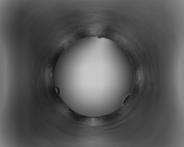 X0000088210522200705221746