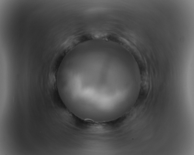 X0000088210523200705221746