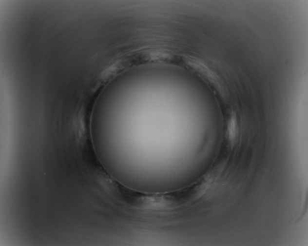 X0000088210524200705221746